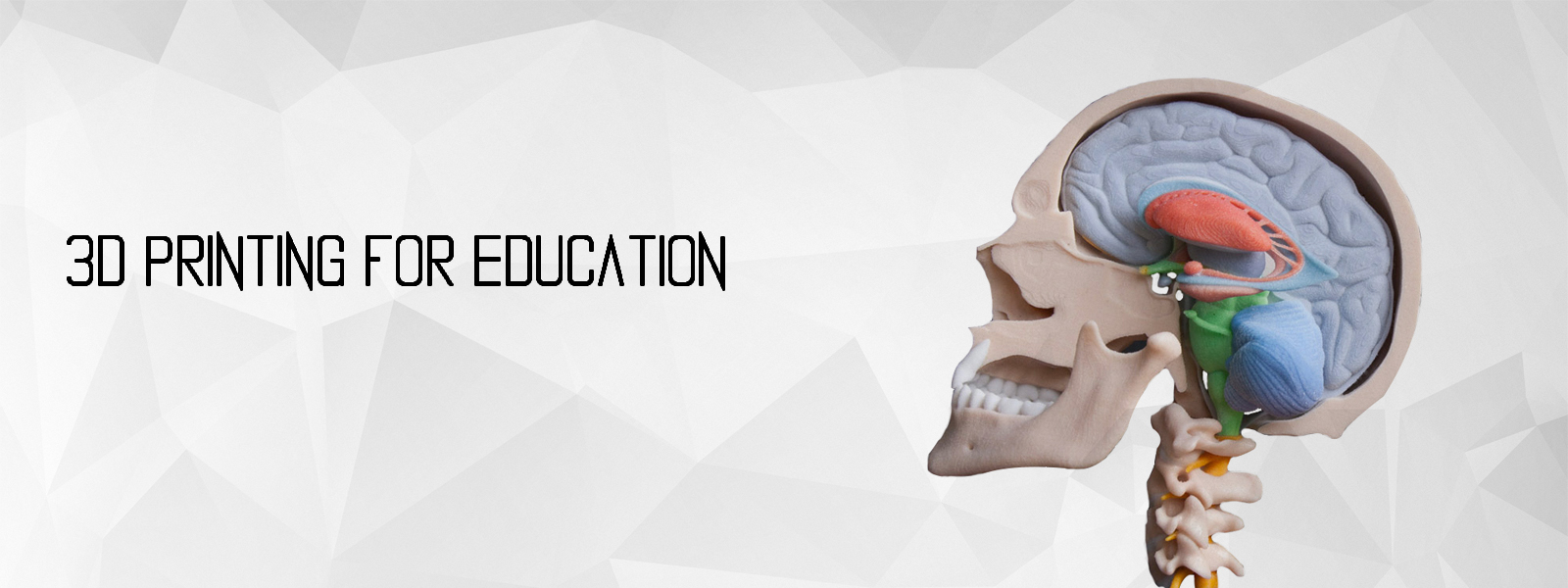 slider image 5